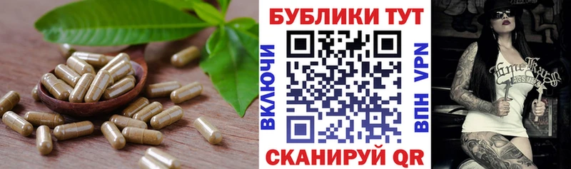 МЕГА как зайти  Новомичуринск  ЭКСТАЗИ 300 mg 
